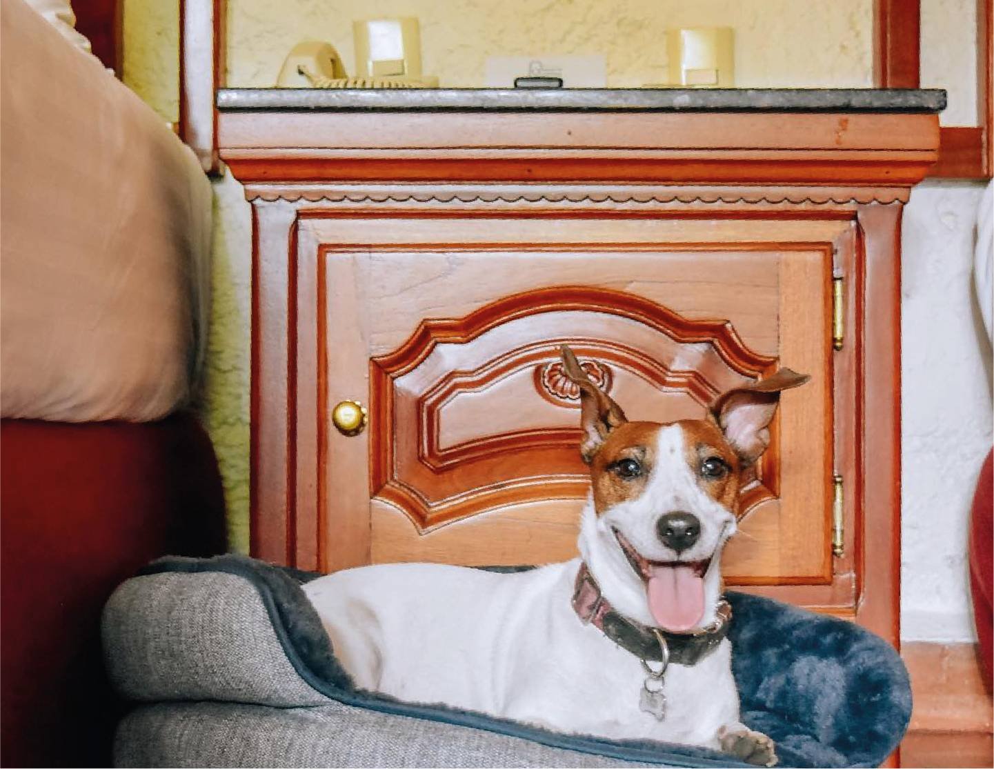 05-galeria-habitacion-dog-friendly